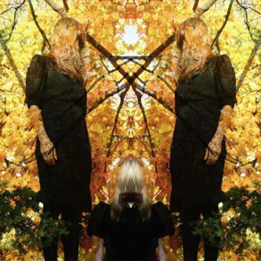Austra - Feel It Break (CD, Album, RE + CD, Bon + Dlx)