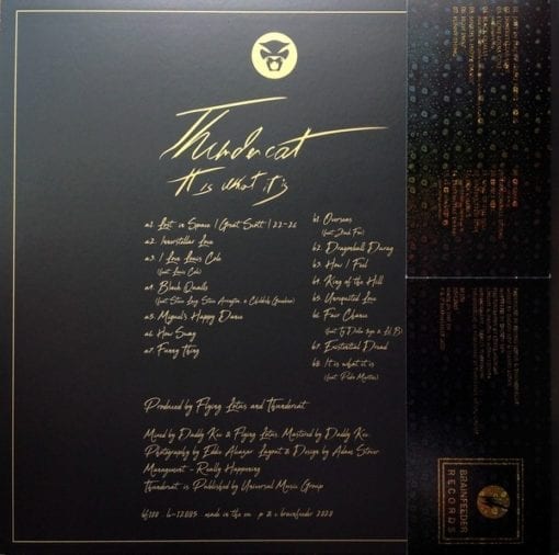Thundercat ‎| It Is What It Is  [Coloured Vinyl] LP - Image 2