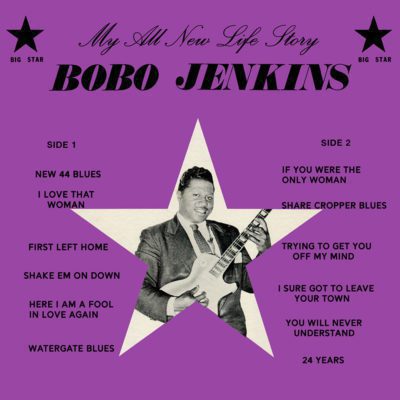 Bobo Jenkins | My All New Life Story [Purple Coloured Vinyl] LP