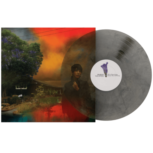 Sharon Van Etten | We've been going about this all wrong [Smoke Marble Vinyl] LP - Image 2