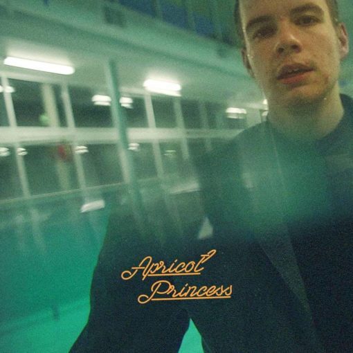 Rex Orange County | Apricot Princess [5th Anniversary Edition RSD22 Coloured Vinyl] LP