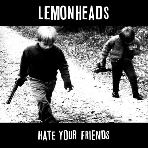 The Lemonheads | Hate your friends [Fire Records Re-issue Vinyl Album] LP