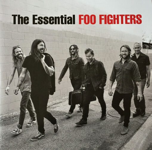 Foo Fighters - The Essential (2xLP, Comp)