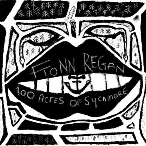 Fionn Regan | 100 Acres of Sycamore [180g Vinyl Album] LP