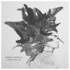 Adrian Crowley | Dark Eyed Messenger  [Limited Edition Heavyweight Vinyl Album] LP