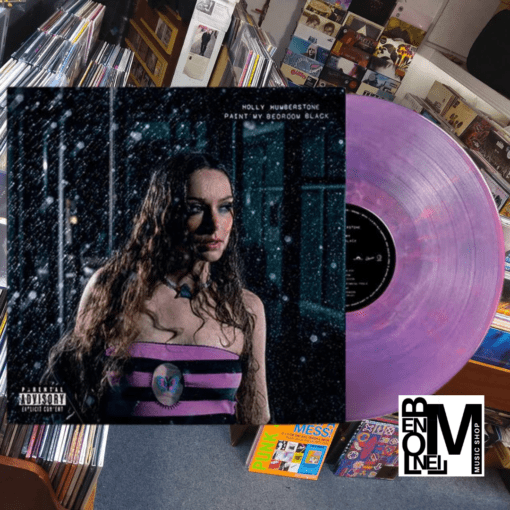 Holly Humberstone | Paint My Bedroom Black  [Alternative Artwork Eco Mix Coloured Vinyl Album] LP - Image 2