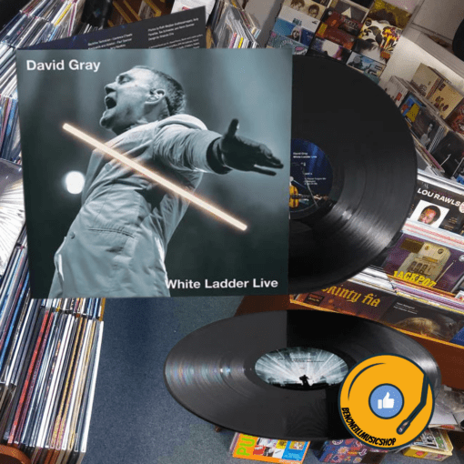 David Gray | White Ladder Live [Double Vinyl Gatefold Sleeve] 2LP - Image 2