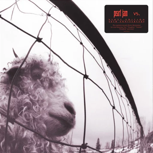 Pearl Jam | Vs [30th Anniversary Clear Vinyl Album Pressing] LP