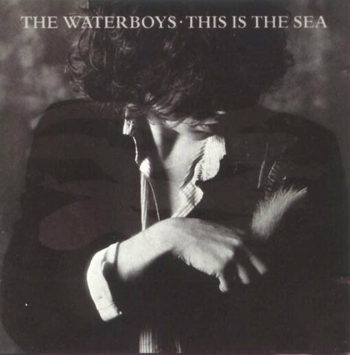 The Waterboys | This Is The Sea [Duluxe Digi Double Compact Disc] 2CD