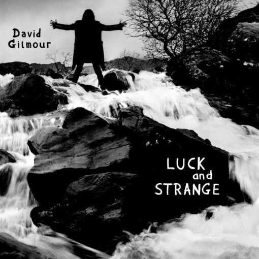 David Gilmour | Luck and Strange [Sea Blue Vinyl] LP - Image 2