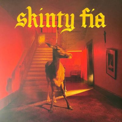 Fontaines D.C. - Skinty Fia (LP, Album)