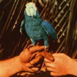 Andrew Bird - Are You Serious (CD, Album)