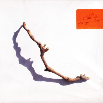 PJ Harvey - I Inside The Old Year Dying (CD, Album)